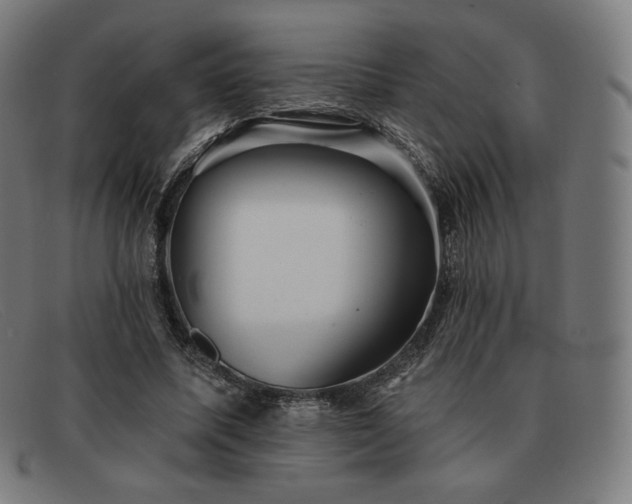 X0000091890587200709121441