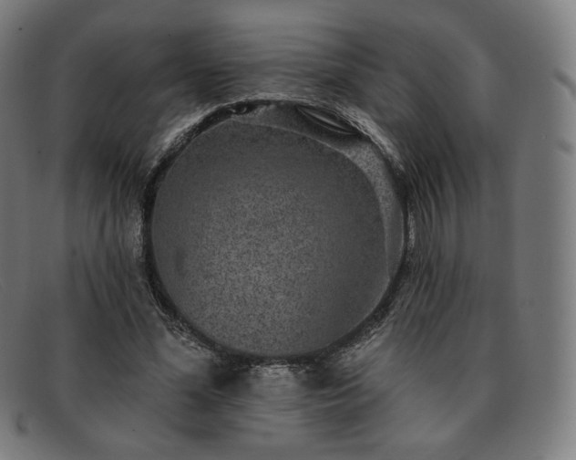 X0000091890588200709121441