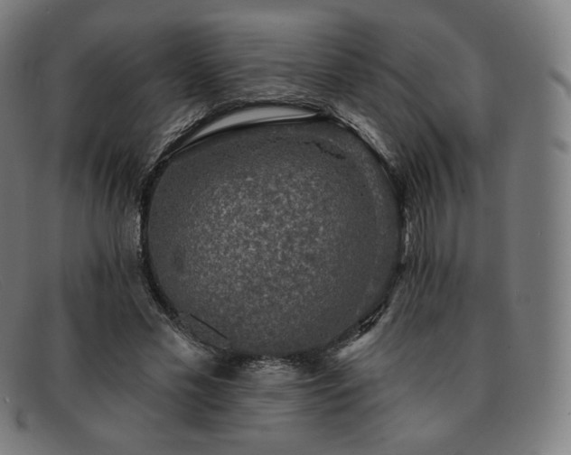 X0000091890589200709121441