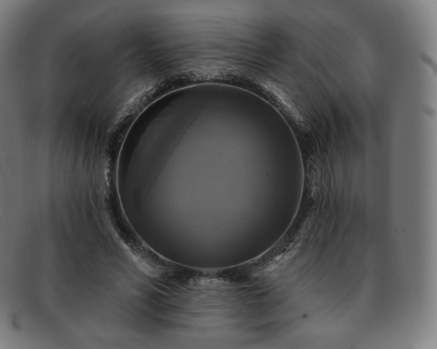 X0000091890590200709121441
