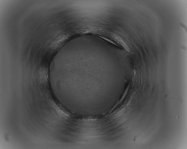 X0000091890593200709121441