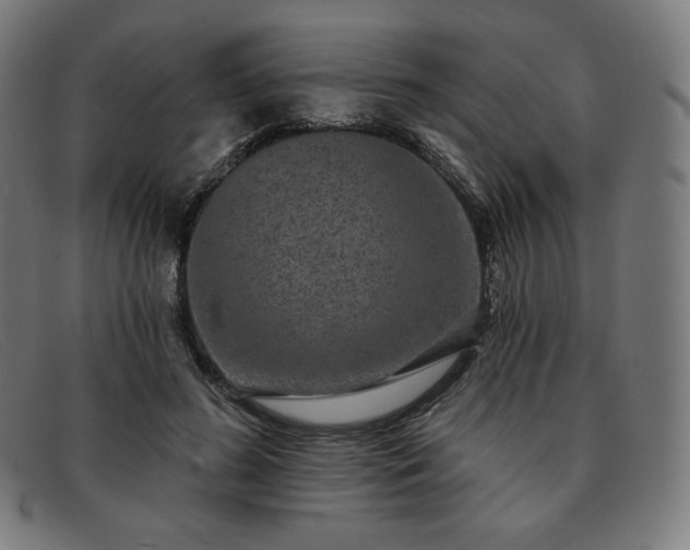 X0000091890596200709121441