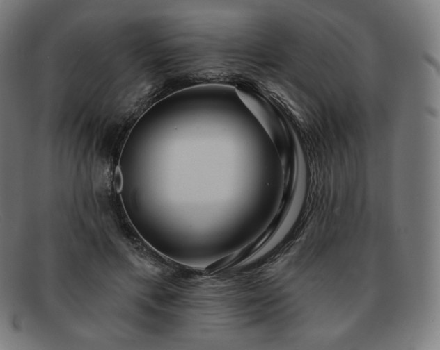 X0000091890597200709121441