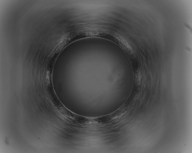 X0000091890598200709121441