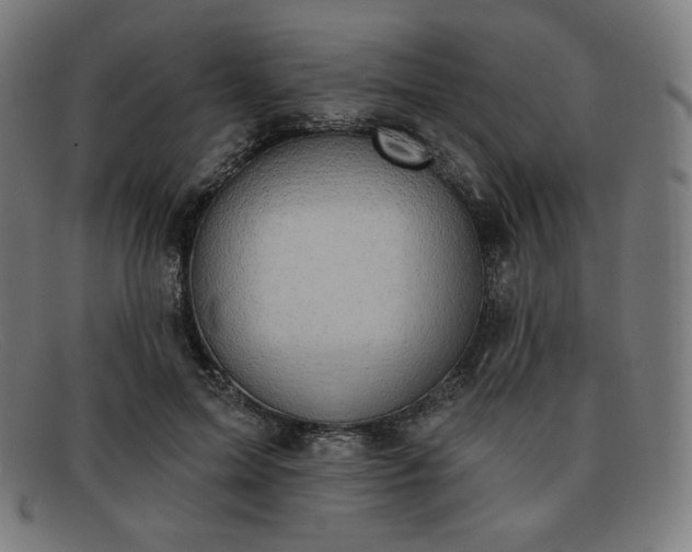 X0000091890599200709121441