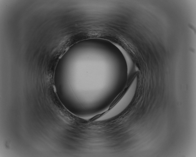 X0000091890601200709121441