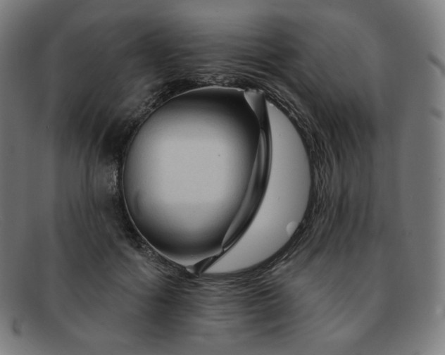 X0000091890602200709121441