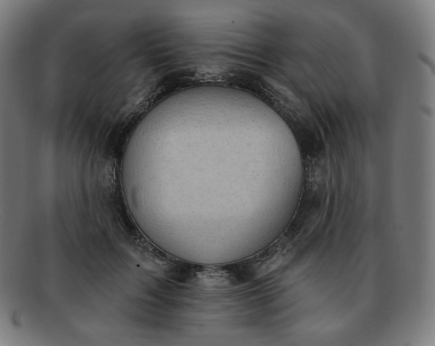 X0000091890603200709121441