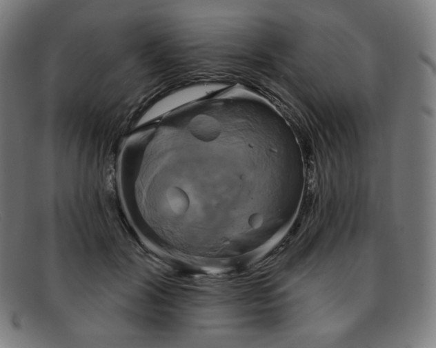 X0000091890604200709121441