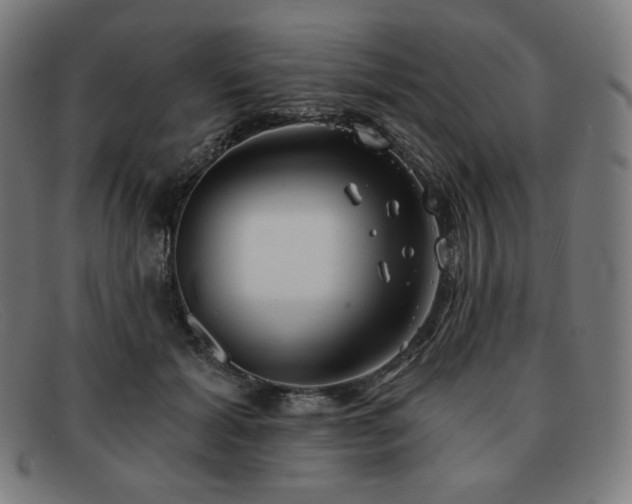 X0000091890605200709121441