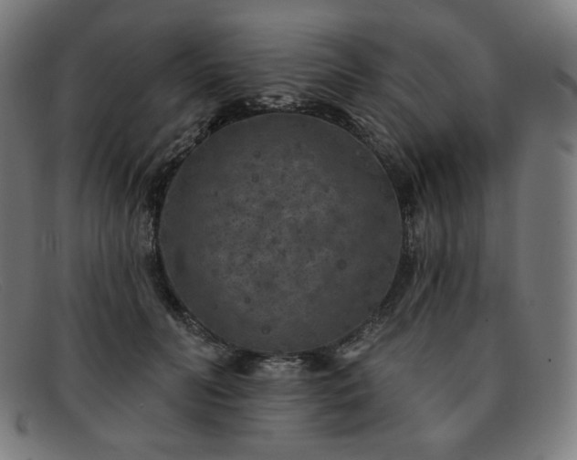 X0000091890606200709121441