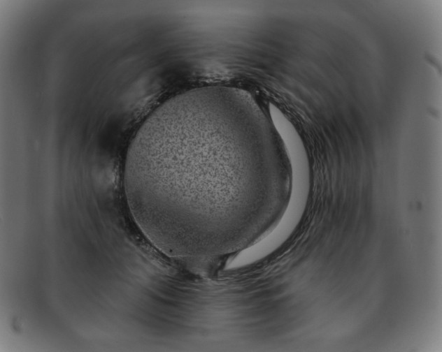 X0000091890608200709121441
