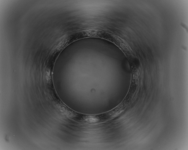 X0000091890610200709121441