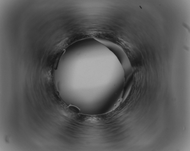 X0000091890611200709121441