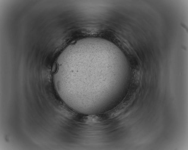 X0000091890612200709121441
