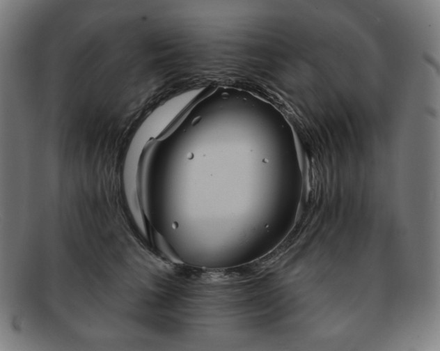 X0000091890613200709121441