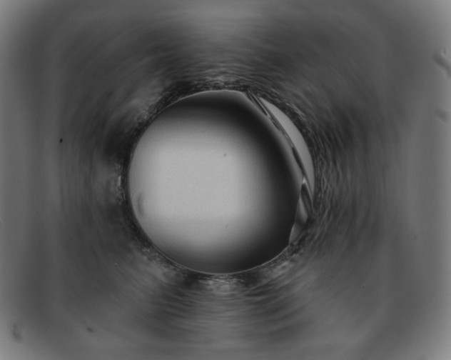 X0000091890615200709121441