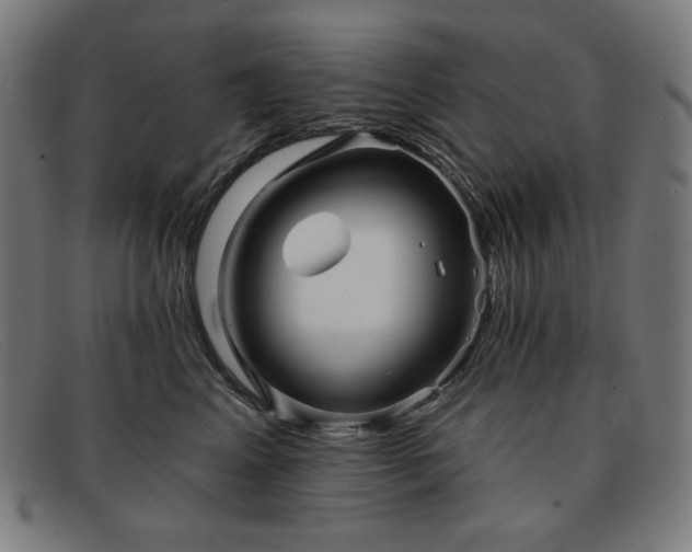 X0000091890617200709121441