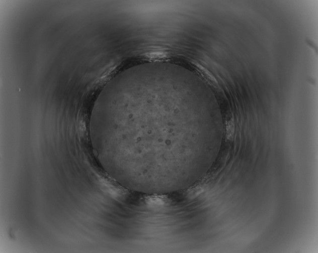 X0000091890618200709121441