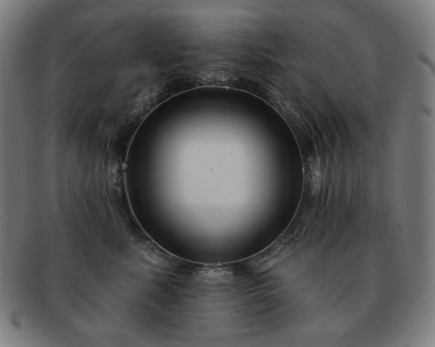 X0000091890619200709121441