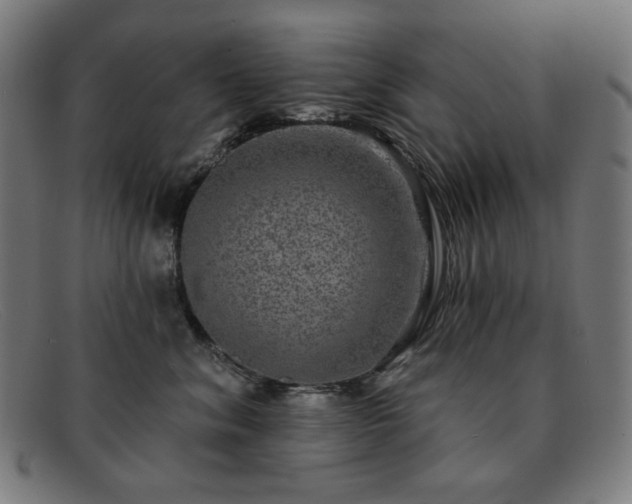 X0000091890620200709121441