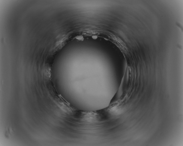 X0000091890621200709121441