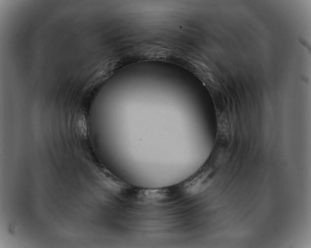 X0000091890622200709121441