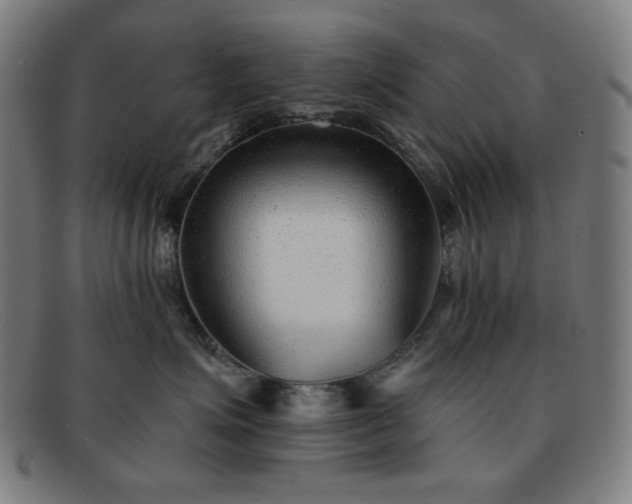X0000091890623200709121441