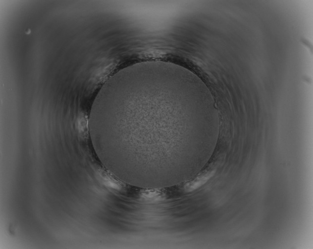 X0000091890624200709121441