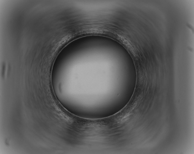 X0000091890625200709121440