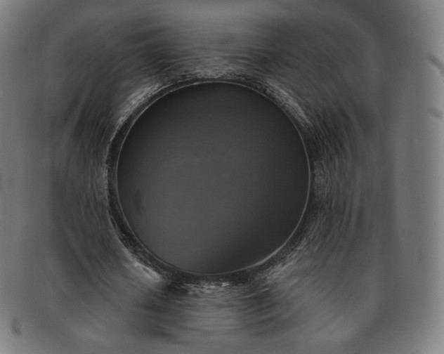X0000091890626200709121440