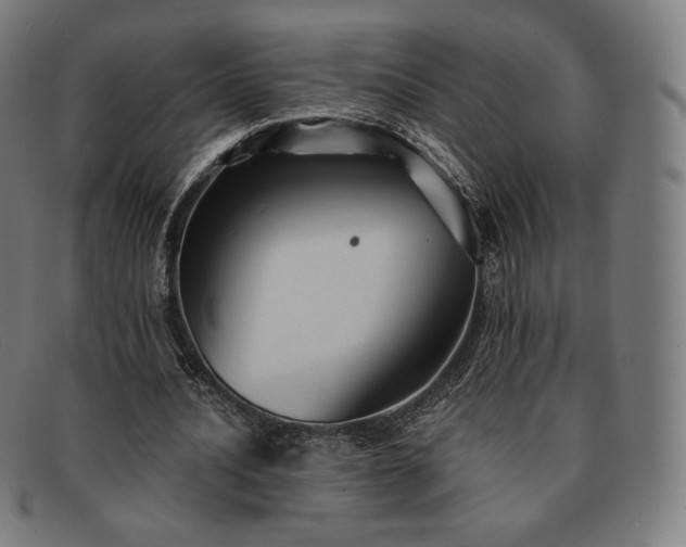 X0000091890628200709121440