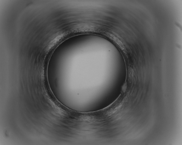 X0000091890629200709121440