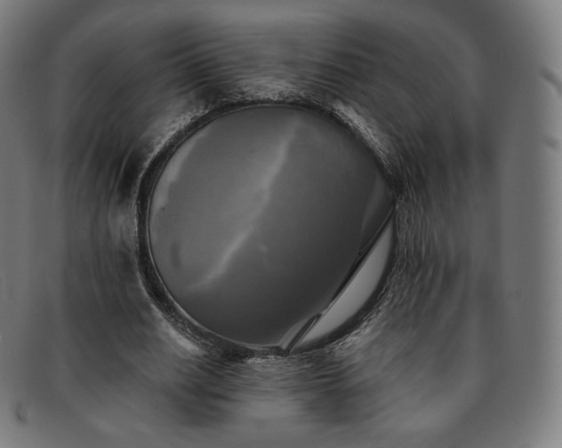 X0000091890630200709121440