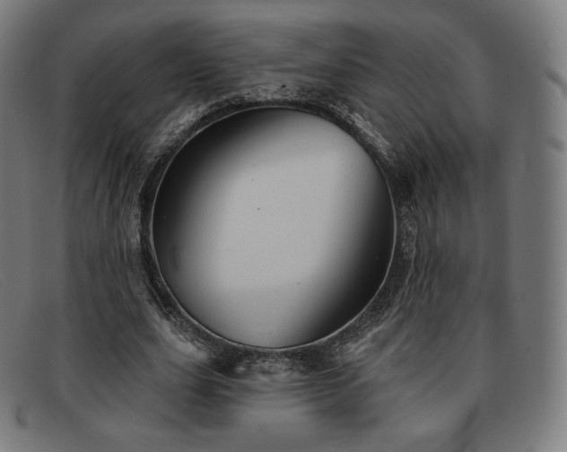 X0000091890631200709121440