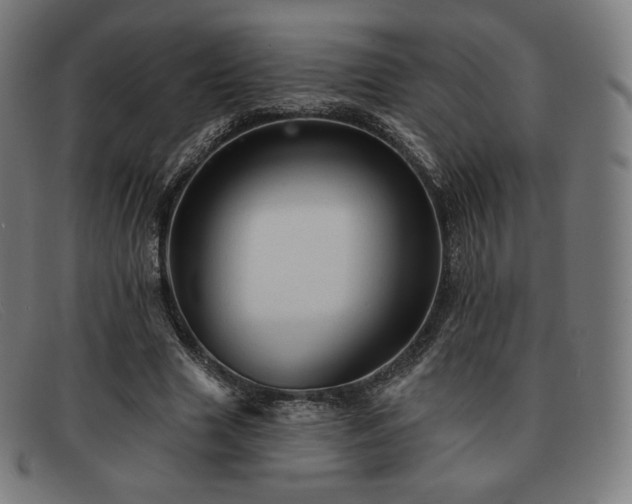 X0000091890633200709121441