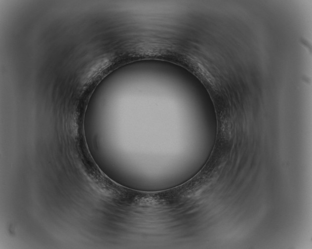 X0000091890635200709121441