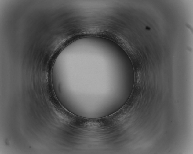 X0000091890636200709121441