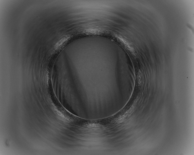 X0000091890637200709121441