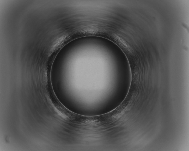 X0000091890638200709121441