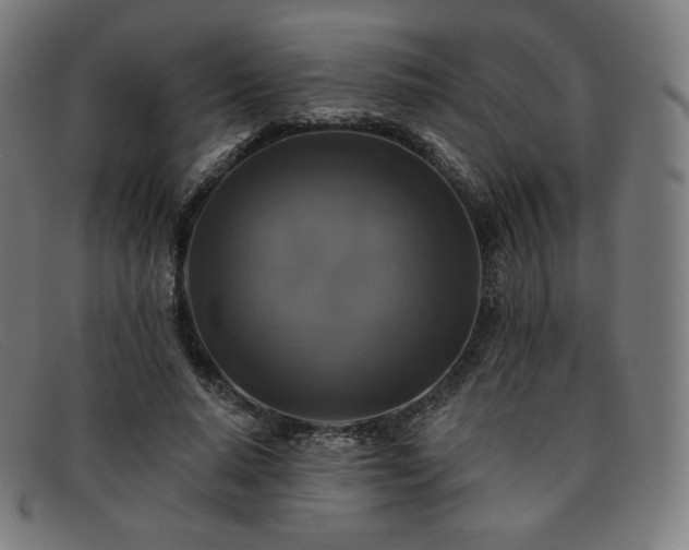 X0000091890640200709121441