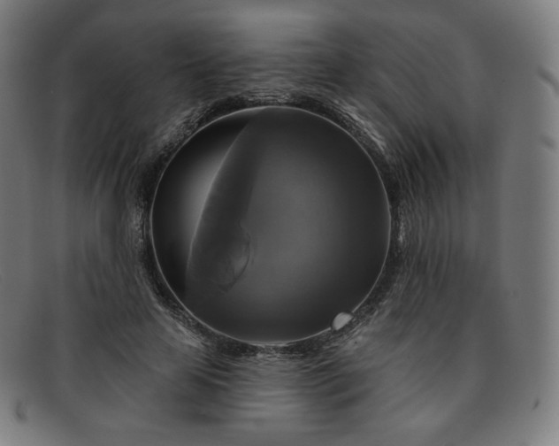 X0000091890641200709121441