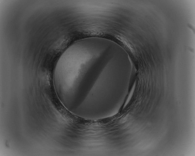 X0000091890643200709121441