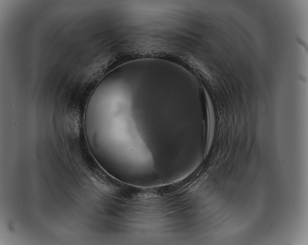 X0000091890644200709121441