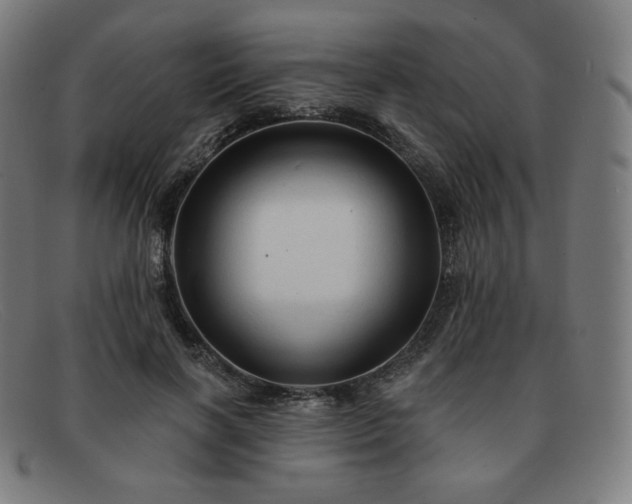 X0000091890646200709121441
