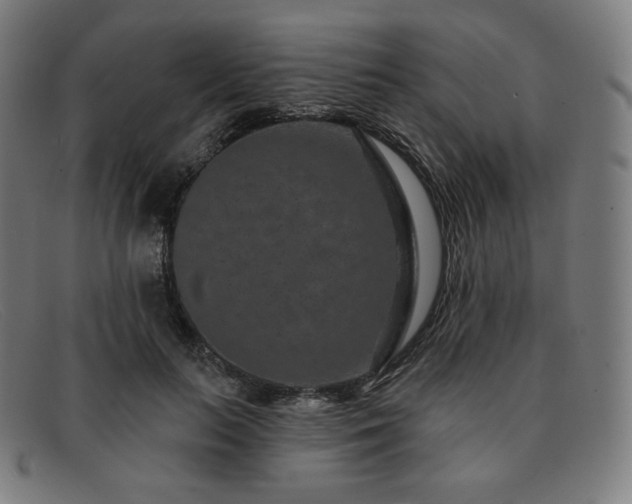 X0000091890647200709121441
