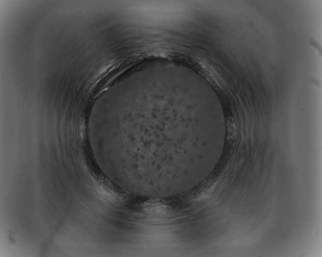 X0000091890648200709121441