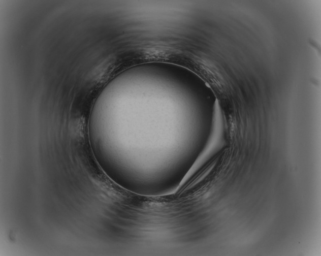 X0000091890649200709121441