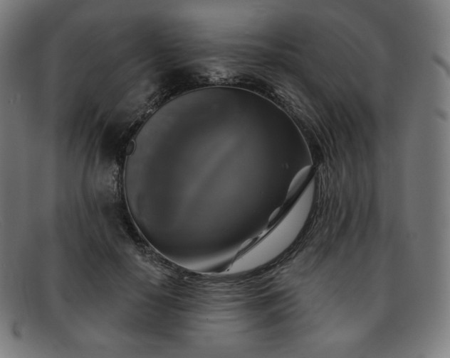 X0000091890650200709121441