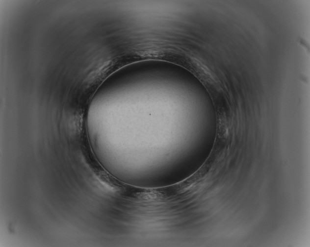 X0000091890652200709121441